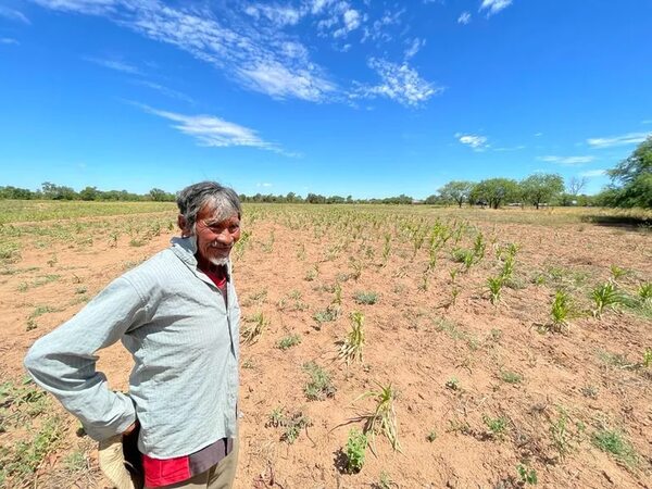 MAG implementará tecnología de FAO para controlar daños por eventos climáticos - Nacionales - ABC Color