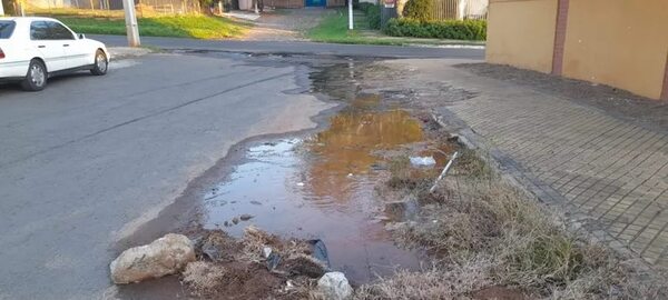 Arroyos y lagunas de la Essap en Lambaré - Nacionales - ABC Color