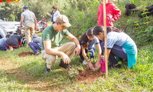 Arborizan adyacencias de naciente de agua
