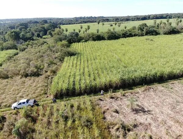 AUDIO: Ministerio de Agricultura implementará tecnología de FAO para controlar daños por eventos climáticos  - A La Gran 7-30 - ABC Color