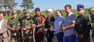 Gobierno y Fuerza Aérea se unen para reforestar Reserva Natural de Edelira