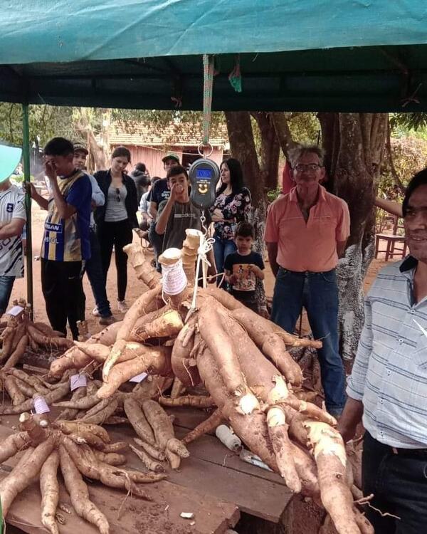 PRIMER FESTIVAL DE LA MANDIOCA SE REALIZÓ CON ÉXITO EN CORONEL BOGADO