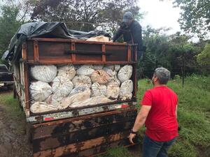 Interceptan camión que transportaba 5,7 toneladas de marihuana en Caazapá | 1000 Noticias