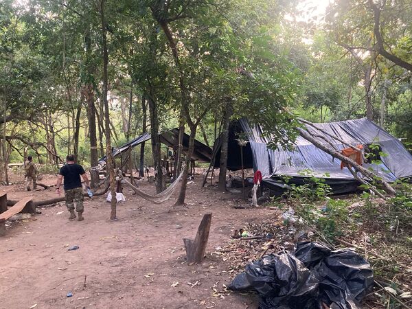 Desmantelan campamento de producción y acopio de marihuana en Bella Vista - Oasis FM 94.3