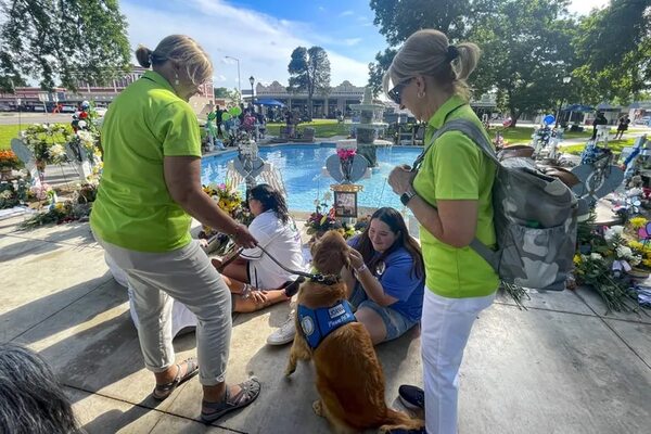 Los perros de terapia tienen una especialidad en EE.UU.: los tiroteos masivos - Mundo - ABC Color