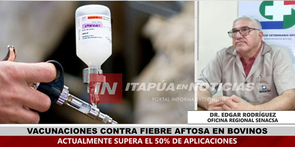 CONTINÚAN LAS VACUNACIONES CONTRA LA FIEBRE AFTOSA EN ITAPÚA - Itapúa Noticias