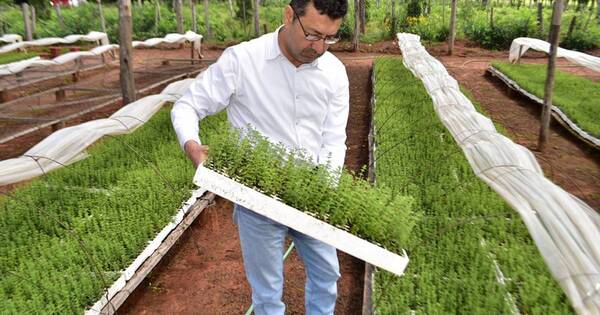 La Nación / Análisis presupuestario es el eje principal de la transición en San Pedro