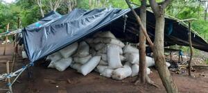 Nuevo golpe a marihuaneros en Bella Vista