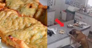 La Nación / ¿Y las marineras? Yolanda Park descubrió a ladrón peludo en su cocina