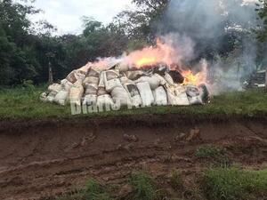 Senad incauta casi 6 mil kilos de marihuana en Tava’i, Caazapá – Diario TNPRESS