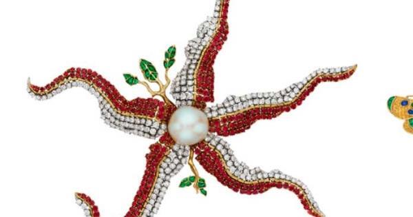 Un broche de estrella de mar dise帽ado por Salvador Dal铆 saldr谩 a subasta por un mill贸n de d贸lares - Revista PLUS