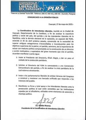Mayoría de intendentes liberales piden a Efraín Alegre dar un paso al costado como presidente del PLRA - El Trueno