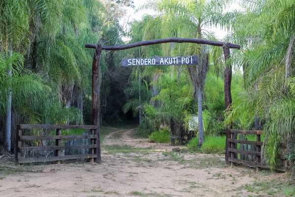 El sendero “Akuti Po´i” y el mirador del “Puerto Turi” se rehabilitan para visitas turísticas - .::Agencia IP::.