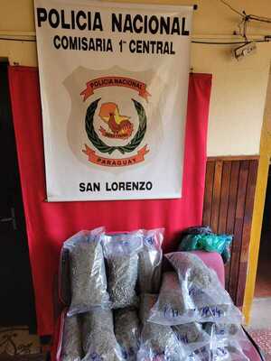 Aprehenden a un hombre con más de 25 kilos de marihuana - San Lorenzo Hoy