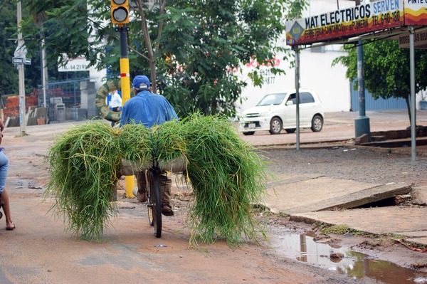 El hambre creci贸 un 30% en Am茅rica Latina y el Caribe desde 2019, seg煤n la FAO - Revista PLUS