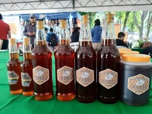 Miel de abeja orgánica producida en Ñeembucú recibe certificación internacional - Economía - ABC Color