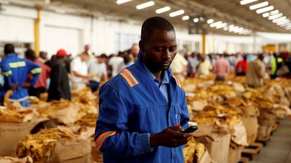 Los lazos comerciales entre América Latina y África