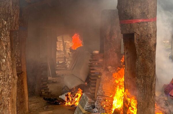 Al menos 4 hectáreas y más de 3.500 kilos de marihuana fueron destruidos en Canindeyú - Megacadena — Últimas Noticias de Paraguay