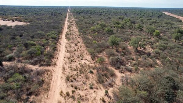 Crece riesgo de explotar los médanos del Chaco - Política - ABC Color