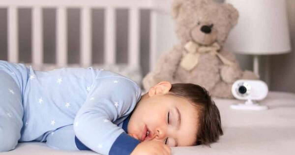 La Nación / Pediatra insta a cuidar de los ácaros a bebés