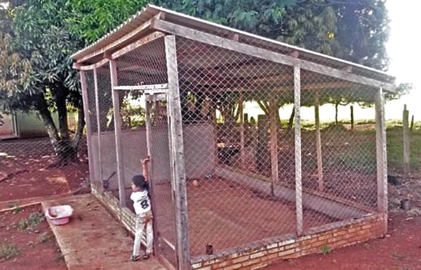 Lucho “gallinero de oro” sería el nuevo director de la Itaipu - La Clave