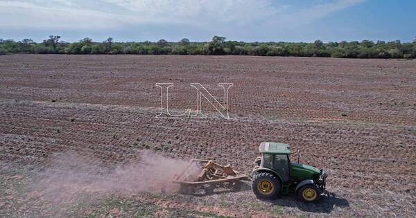 La Nación / Perspectivas agroclimáticas prevén escasas precipitaciones en Paraguay