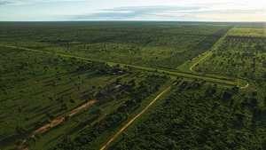 Everdem subasta San Nicanor: “Tenemos autorización para iniciar la venta en US$ 300 por hectárea”