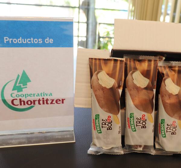 Lácteos Trébol incursiona en la línea de los helados y arroja “Trebolito”