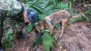 Ejército de Colombia continúa búsqueda de niños indígenas