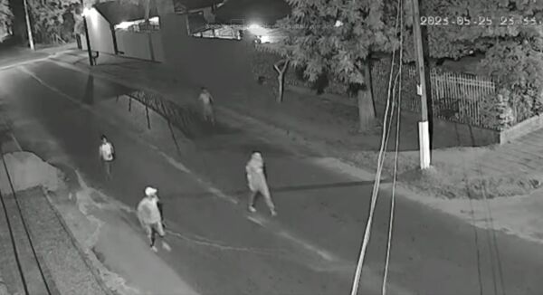 Diario HOY | Caen "Ña Rosa Cable Guy" y su pandilla: por vandalismo imputan a 5 personas