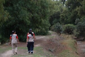 Diario HOY | Lanzan alerta por gorila que deambula en poblado mexicano