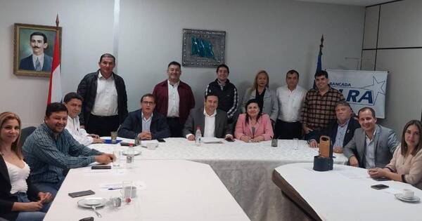 La Nación / Diputados del PLRA anuncian bancada unificada para el siguiente periodo