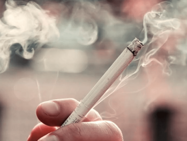 Día mundial sin tabaco: advierten de intoxicación por contacto con la planta · Radio Monumental 1080 AM