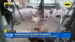Gripe aviar: Avipar mantuvo reunión con Senacsa  - Factor Clave - ABC Color
