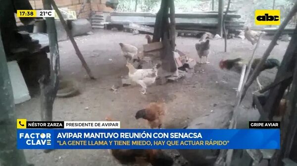 Gripe aviar: Avipar mantuvo reunión con Senacsa - Factor Clave - ABC Color