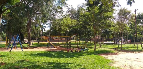 Municipalidad de Luque derribará árboles nativos y arrasará con plaza para construcción de USF - Nacionales - ABC Color