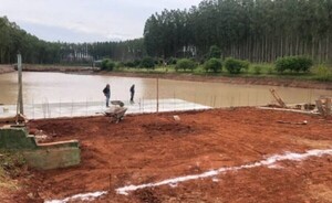 Medio ambiente: brasileño condenado a pagar 24 cuotas de G. 1 millón