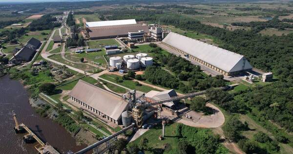 La Nación / Caiasa celebra 10 años e inaugura inmensa celda de acopio de granos