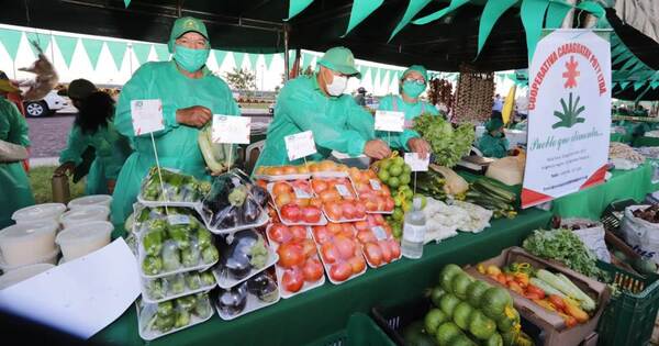 Feria de la Agricultura Familiar se realiza frente al MAG en San Lorenzo