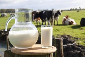 Lo que necesitás saber sobre el Día Mundial de la Leche - Gastronomía - ABC Color
