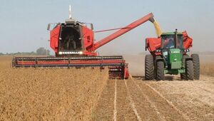 Perspectivas para el segundo semestre de las agroindustrias nacionales