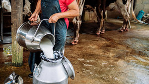 Día de la Leche: buscan impulsar consumo, un modelo sustentable y ampliar producción
