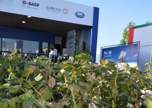 BASF presente en la EXPO PIONEROS 2023 con su división Soluciones para la Agricultura.