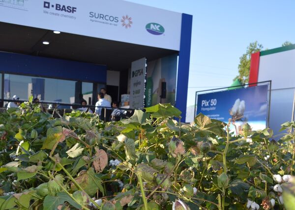 BASF presente en la EXPO PIONEROS 2023 con su división Soluciones para la Agricultura.