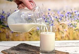 Día Mundial de la Leche: los 5 productos lácteos más consumidos en Paraguay - Nacionales - ABC Color