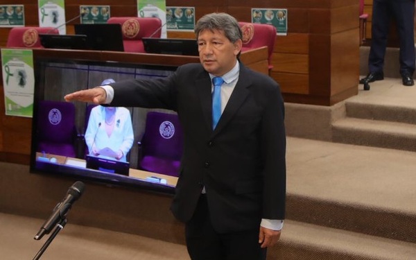 Asumió el reemplazante de Fernando Silva Facetti en Senado