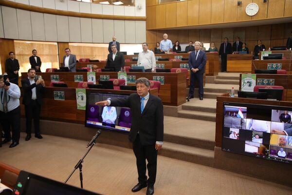 Jura reemplazante de Silva Facetti en el Senado
