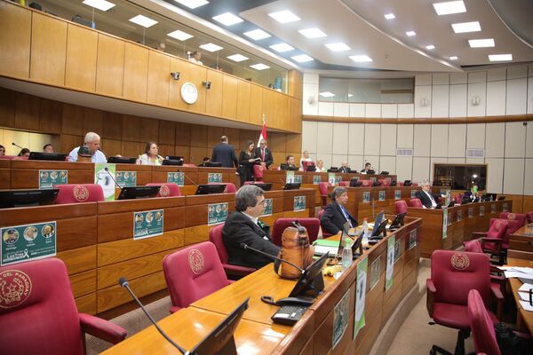 Diario HOY | Reforma de la Policía acaparó sesión del Senado y no se completó un solo punto