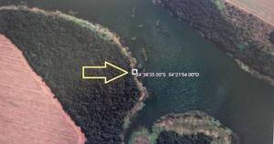 La Nación / Incautan 5 toneladas de marihuana en área protegida de Itaipú, en Canindeyú