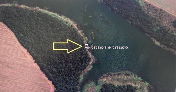 La Nación / Incautan 5 toneladas de marihuana en área protegida de Itaipú, en Canindeyú